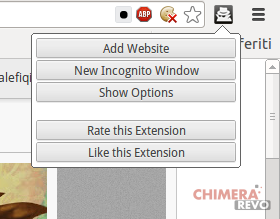 Google Chrome - Incognito Filter