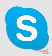 skype android1