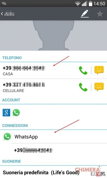 contatto in rubrica non c'è su WhatsApp