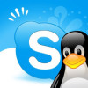skype linux