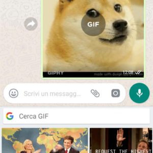 Inviare GIF WhatsApp