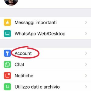 whatsapp senza spunte blu