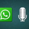 WhatsApp dove salva note audio WhatsApp