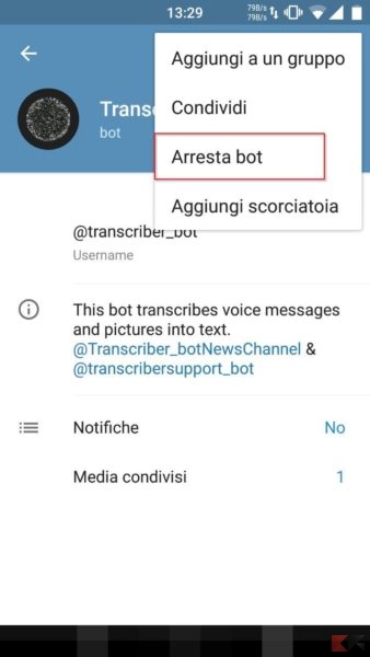 Transcriber Bot