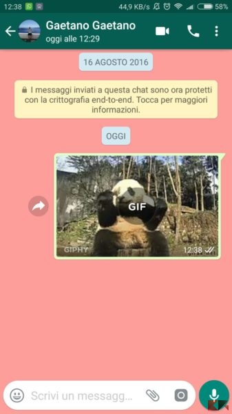 Come cercare GIF su WhatsApp per Android