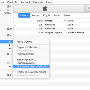 Come trovare duplicati in iTunes