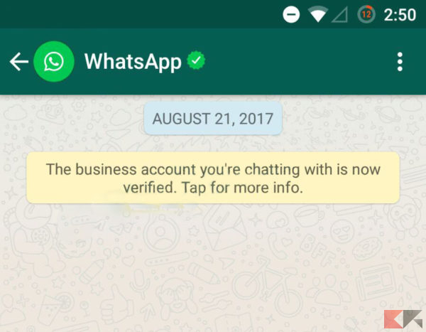 Spunte verdi WhatsApp: come funzionano - WhatsApp Business - account WhatsApp verificato