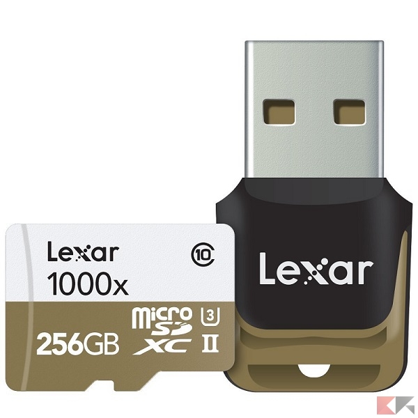 Lexar Professional 1000x - microSD 256 GB guida all'acquisto