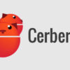 Usare Cerberus per spiare WhatsApp di altri