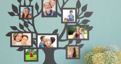 albero genealogico della famiglia