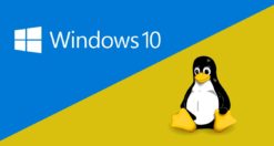 Come installare Windows su Linux