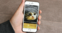 Come modificare GIF su iPhone