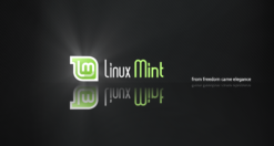 Come abilitare il supporto ai pacchetti Snap su Linux Mint