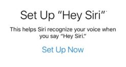 attivare "Hey Siri"
