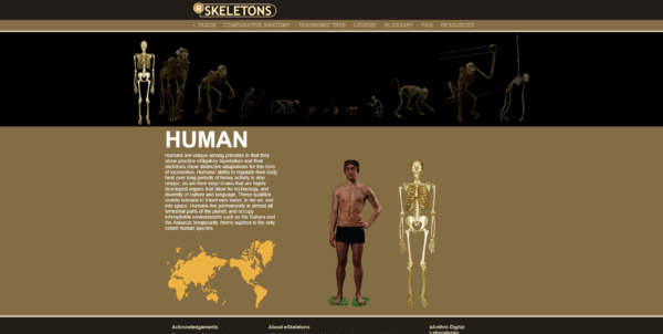 Anatomia umana 3D migliori siti e app