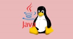 Come installare Java su Linux