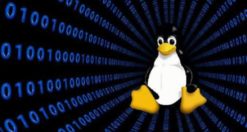 Come velocizzare l'avvio di Linux