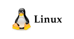 Come attivare login automatico su Linux