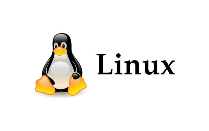 Come attivare login automatico su Linux 2