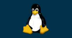 Come forzare spegnimento di Linux