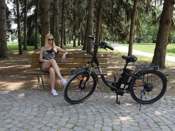 e-bike bici elettrica bicicletta elettrica