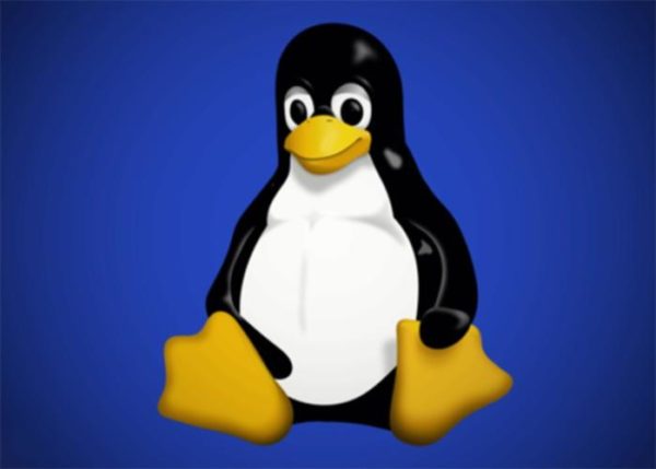 Come eseguire backup cronologia del terminale su Linux