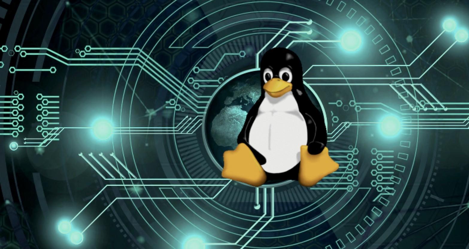 Come eseguire backup cronologia del terminale su Linux 2