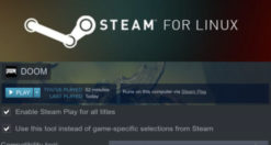 Giochi Steam non funzionano con NVIDIA su Linux: come risolvere