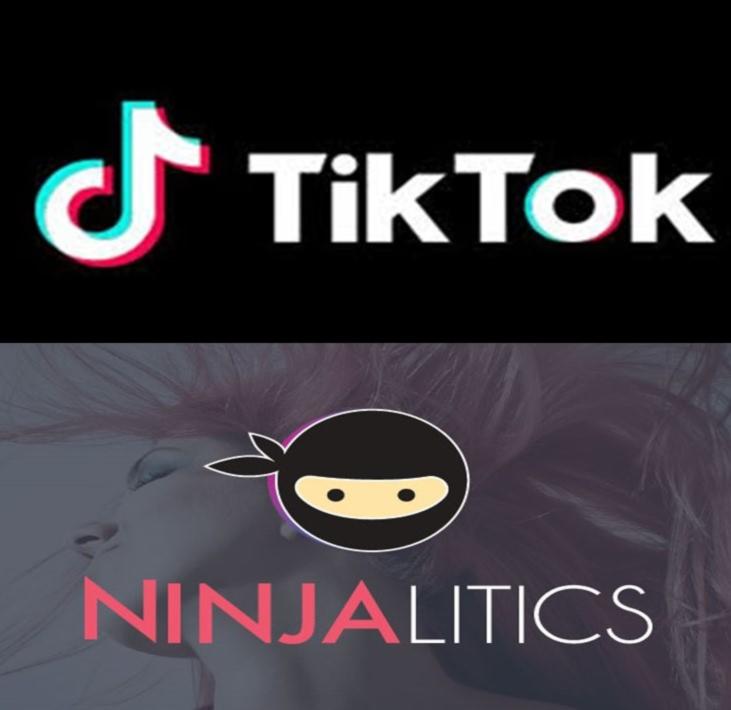 TikTok statistiche e analisi dei profili grazie a Ninjalitics 6
