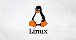 motivi per cui Windows è migliore di Linux