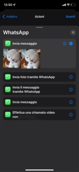 Come programmare un messaggio su WhatsApp