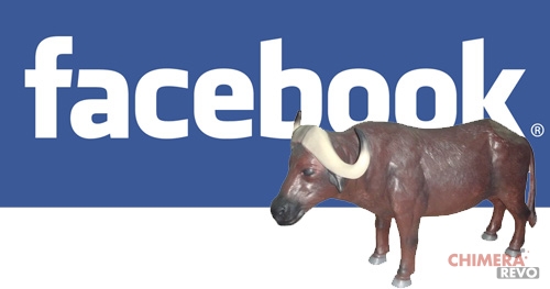 facebook-bufale